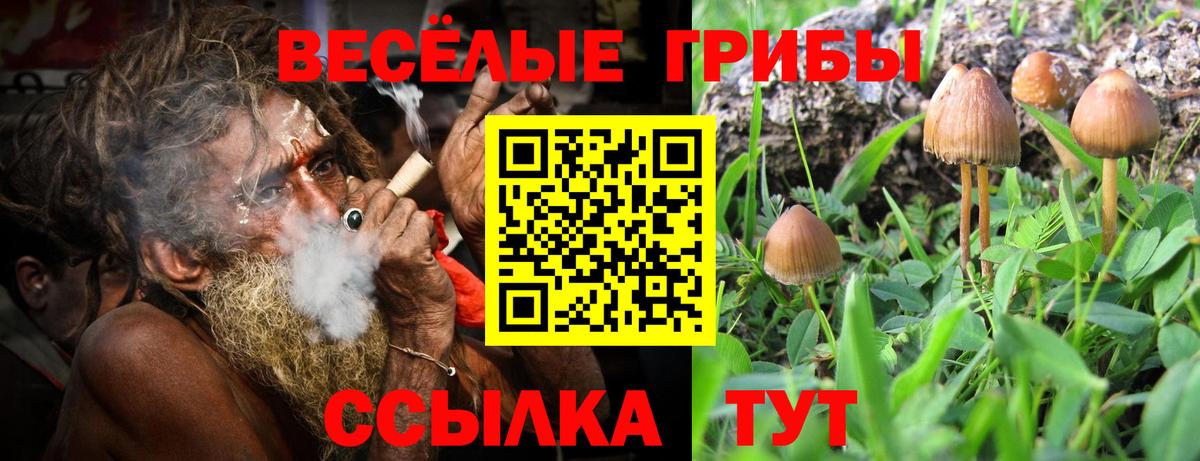 Псилоцибиновые грибы мухоморы  Вход с VPN  Минусинск 
